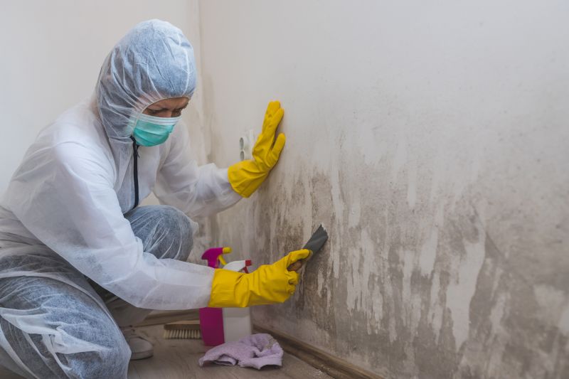 Mold Prevention Measures